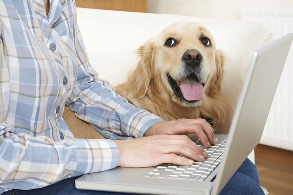 Pet Care Plus Offer
