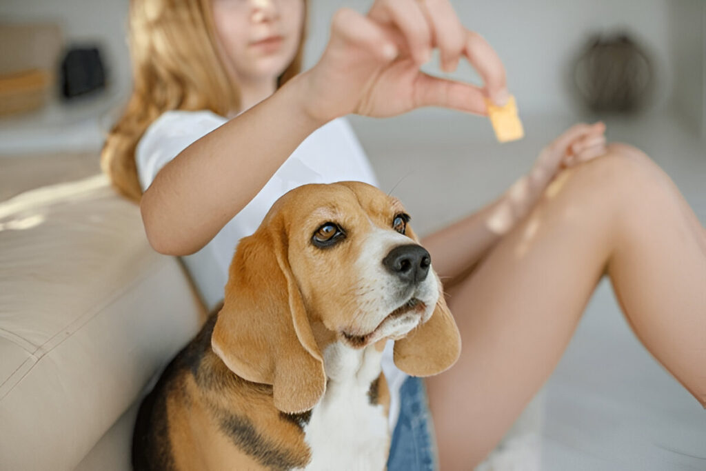 Pet Care Basics