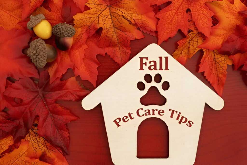 Special Tips for Different Pets