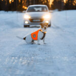 St Pete Car Accident Lawyer: Expert Help When You Need It Most